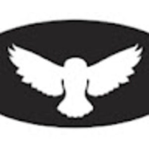 Meet your Posher, Chenny